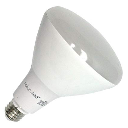 LEDBR40.2.jpg