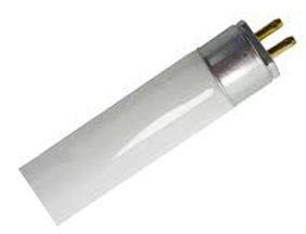 T5BipinA.jpg